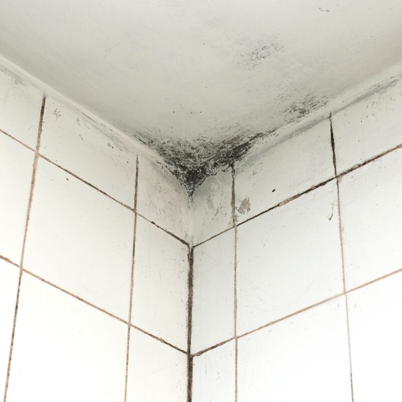 Lutter contre l'humidité dans sa salle de bain