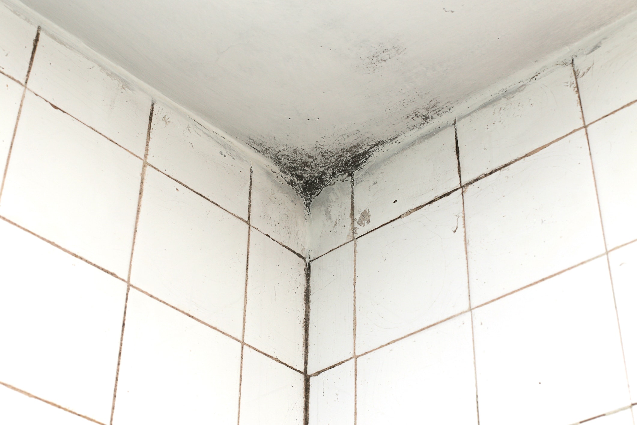 humidite-salle-de-bain